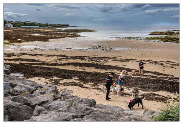 Donegal