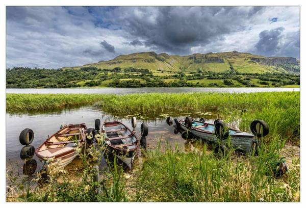 Donegal