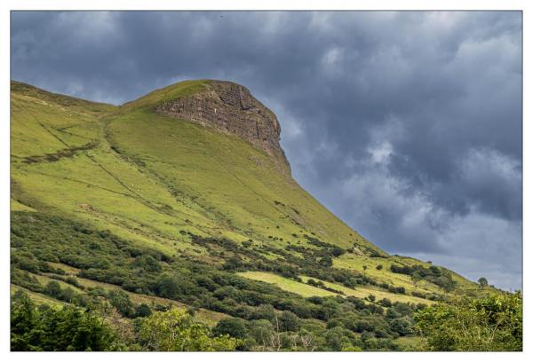 Donegal
