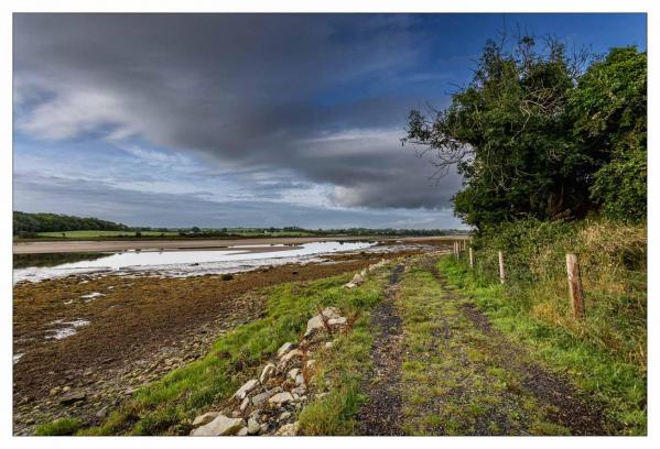 Donegal