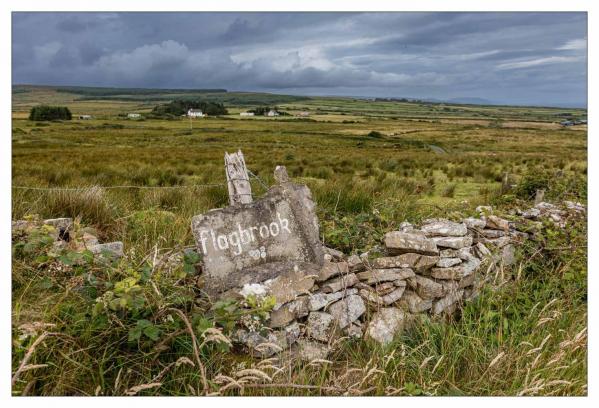 Donegal
