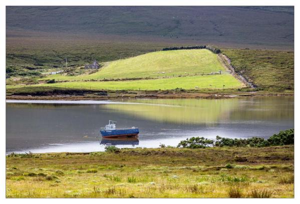 Donegal
