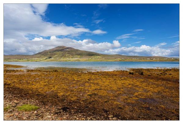 Donegal