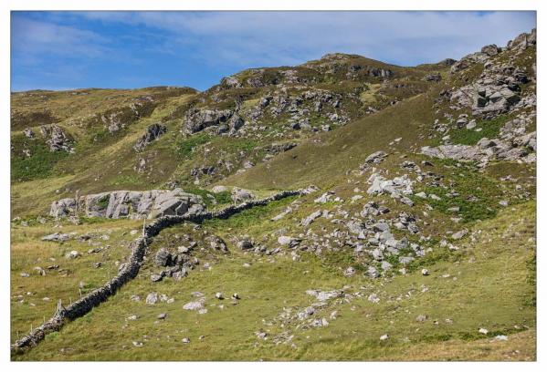 Donegal
