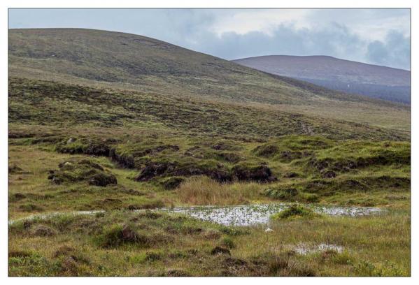 Donegal