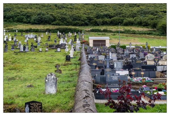 Donegal