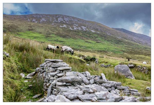 Irlande