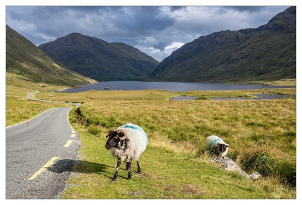 Irlande