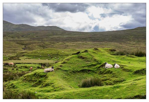 Irlande