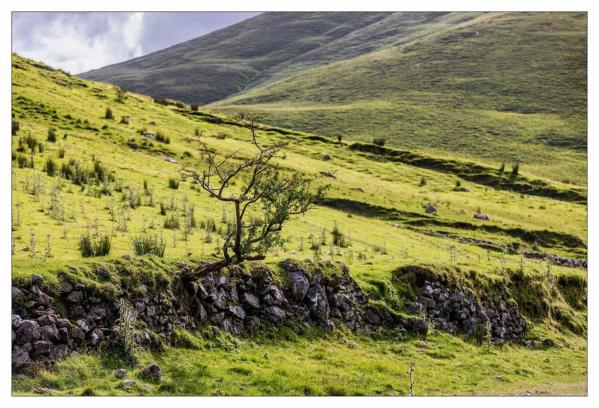 Irlande