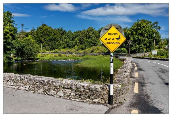 Irlande