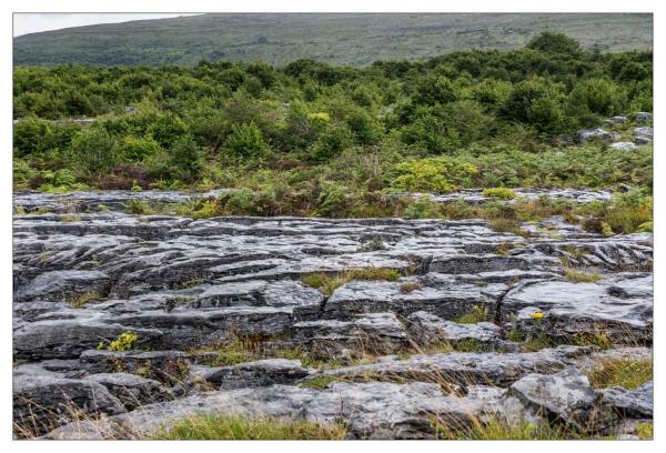 Irlande