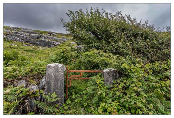 Irlande