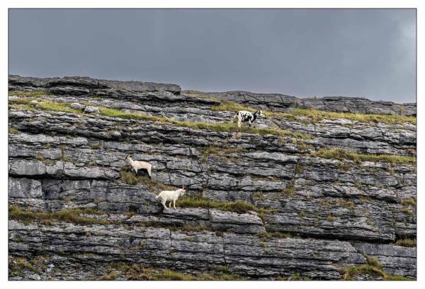 Irlande