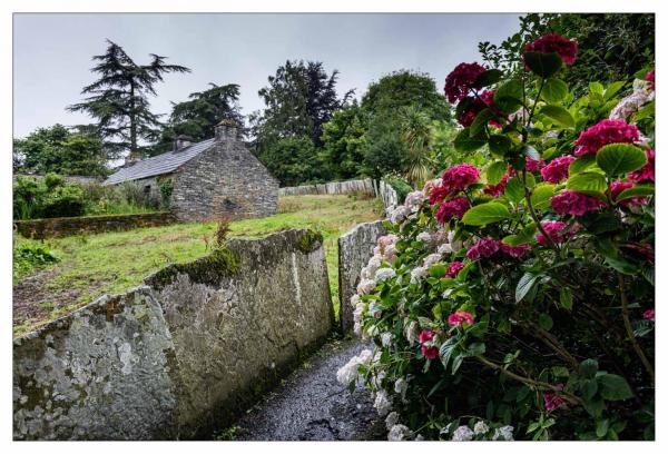 Bunratty Castle