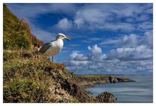 Irlande