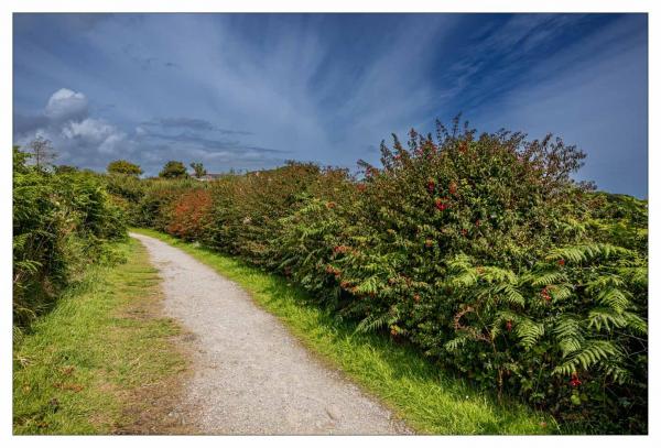 Irlande