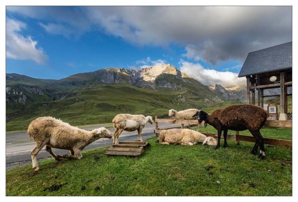Pyrénées