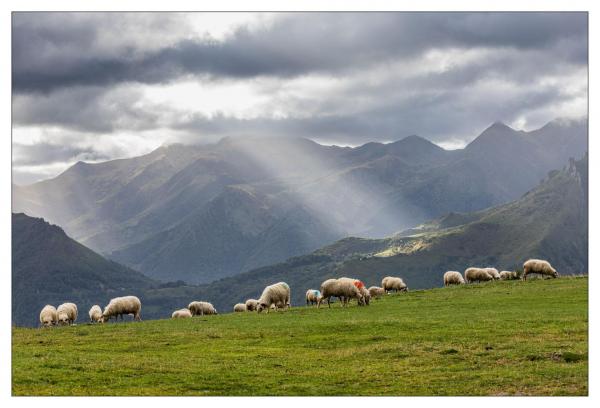 Pyrénées