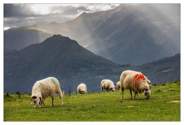 Pyrénées