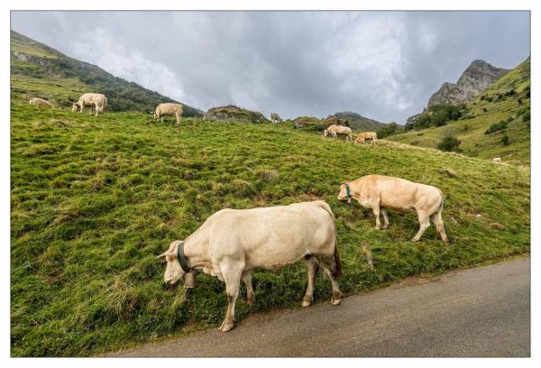 Pyrénées