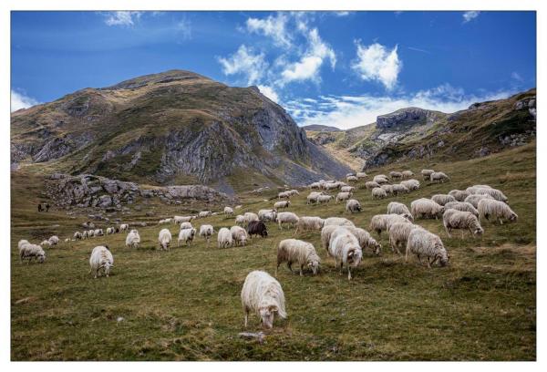 Pyrénées