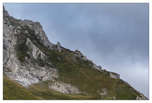 Pyrénées