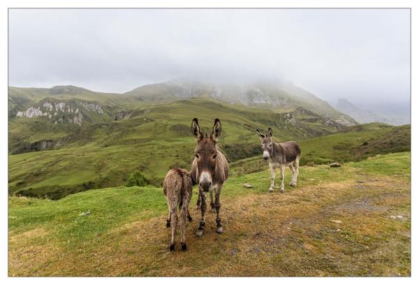 Pyrénées