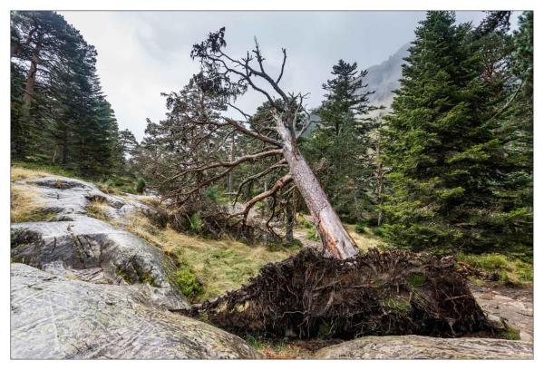 Pyrénées