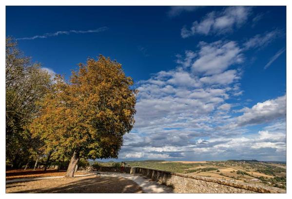 Vézelay