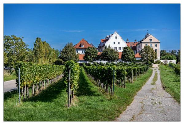 Bodensee