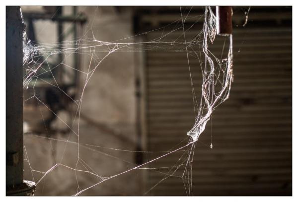 Urbex