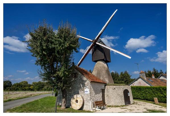 Nouan sur Loire