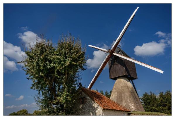 Nouan sur Loire