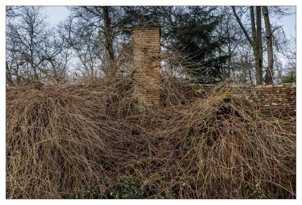 Sologne