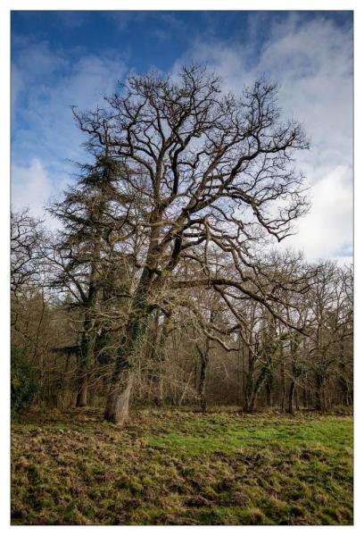 Sologne