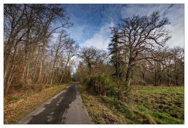 Sologne