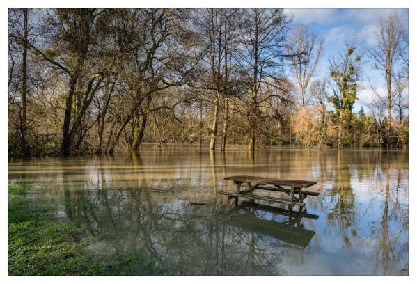 Sologne