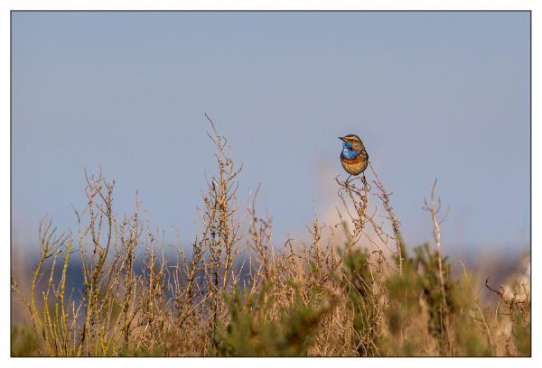 Vendée