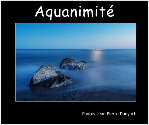 Aquanimité