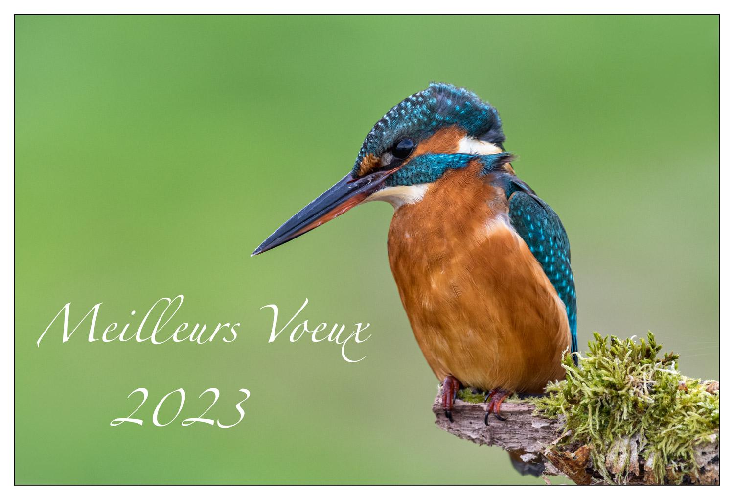 Bonne Année