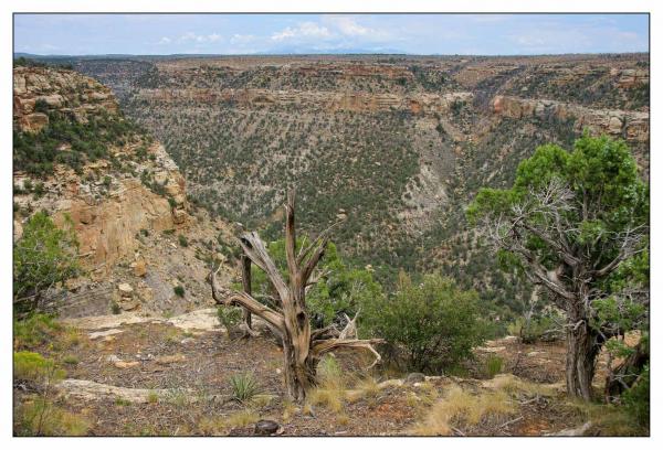 Mesa Verde