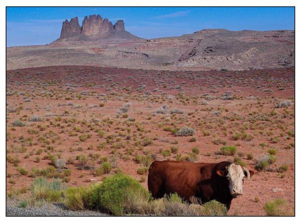 Monument Valley