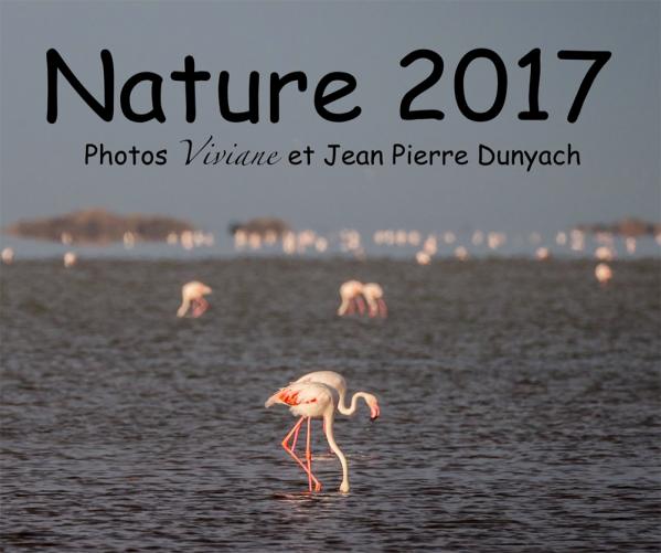 Nature 2017