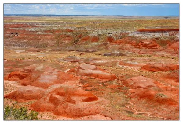 Petrified Forest