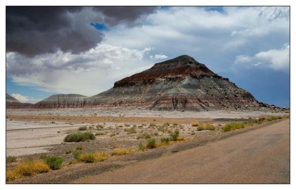 Petrified Forest