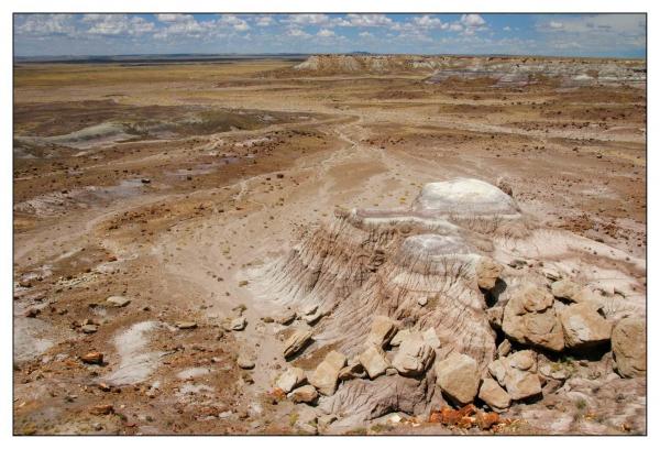 Petrified Forest